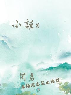 小说x