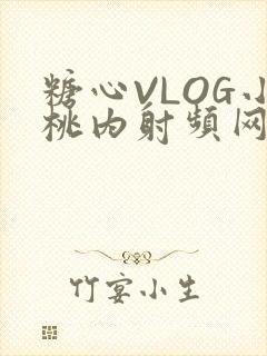 糖心VLOG小桃内射频网站