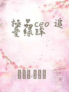 极品ceo 追爱绿眸
