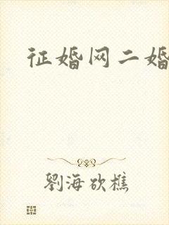 征婚网二婚