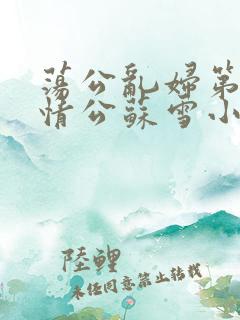 荡公乱妇第1章情公苏雪小说