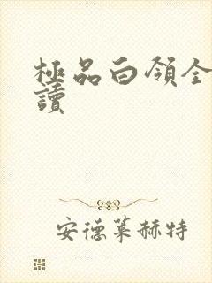 极品白领全文阅读