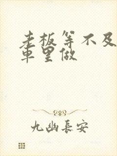 老板等不及了在车里做