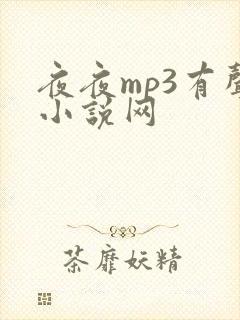 夜夜mp3有声小说网