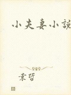 小夫妻小说