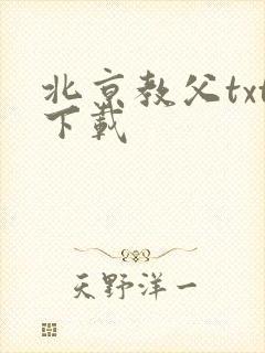 北京教父txt下载
