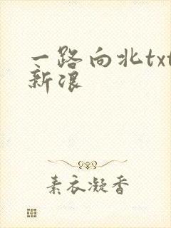 一路向北txt新浪