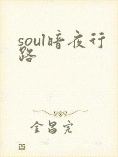 soul暗夜行路