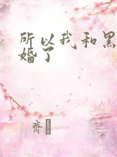 所以我和黑粉结婚了