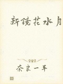 新镜花水月