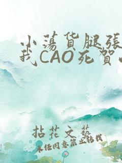 小荡货腿张开让我CAO死贺峻霖
