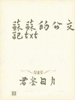 苏苏的公交车日记txt