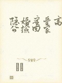 隐婚蜜爱高冷老公捡回家