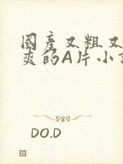 国产又粗又黄又爽的A片小说