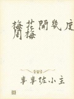 梅花开几度老张周梅