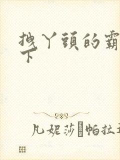 拽丫头的霸道殿下