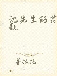 沈先生的花式调数