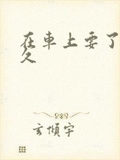 在车上要了我很久