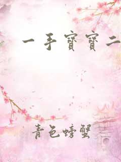 一手宝宝二手妻