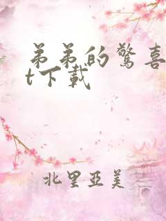 弟弟的惊喜txt下载