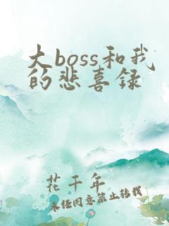 大boss和我的悲喜录