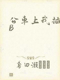公车上我插上骚B