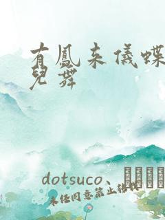 有凤来仪蝶儿蝶儿舞