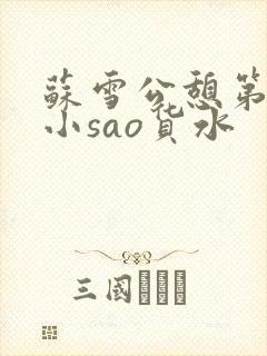 苏雪公憩第一章小sao货水