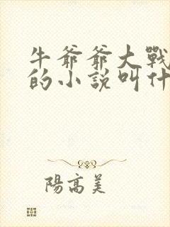 牛爷爷大战小丽的小说叫什么