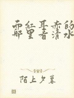 面红耳赤的小说哪里看清水村花