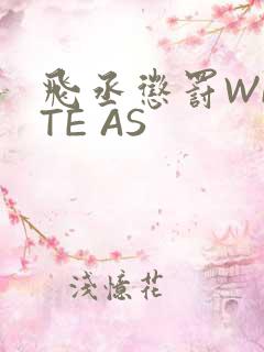 飞丞惩罚WRITE AS