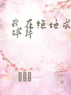 我在绝地求生捡碎片