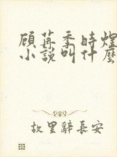 顾苒季时煜电竞小说叫什么名字