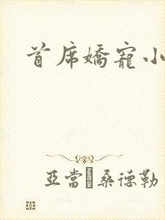 首席娇宠小情人