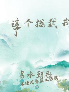 这个总裁 我要了