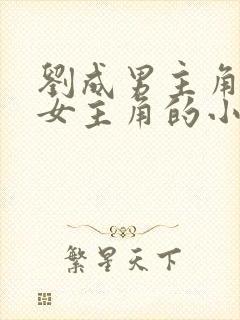 刘成男主角刘雪女主角的小说