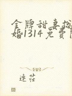 金牌甜妻总裁宠婚1314免费阅读