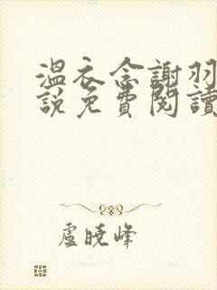 温衣念谢羽渊小说免费阅读