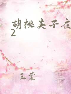 胡桃夹子夜未眠2