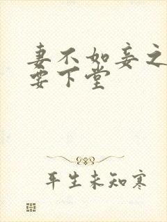 妻不如妾之夫人要下堂