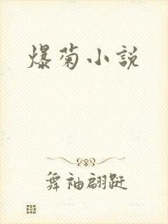 爆菊小说