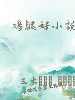 鸡腿好小说网
