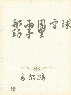 那两团雪球在他的手里