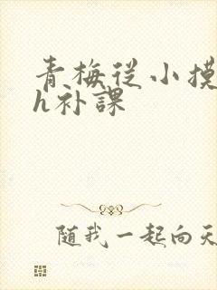 青梅从小摸到大h补课