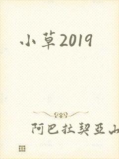 小草2019