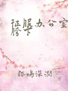 征服办公室杨丽胯下