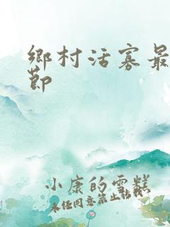 乡村活寡最新章节