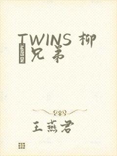 TWINS 柳澤兄弟