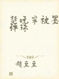 楚晚宁被墨燃塞弹珠