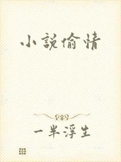 小说偷情